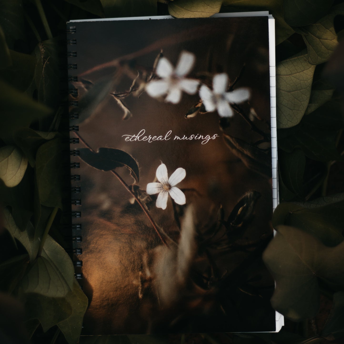Ethereal Musings - Journal
