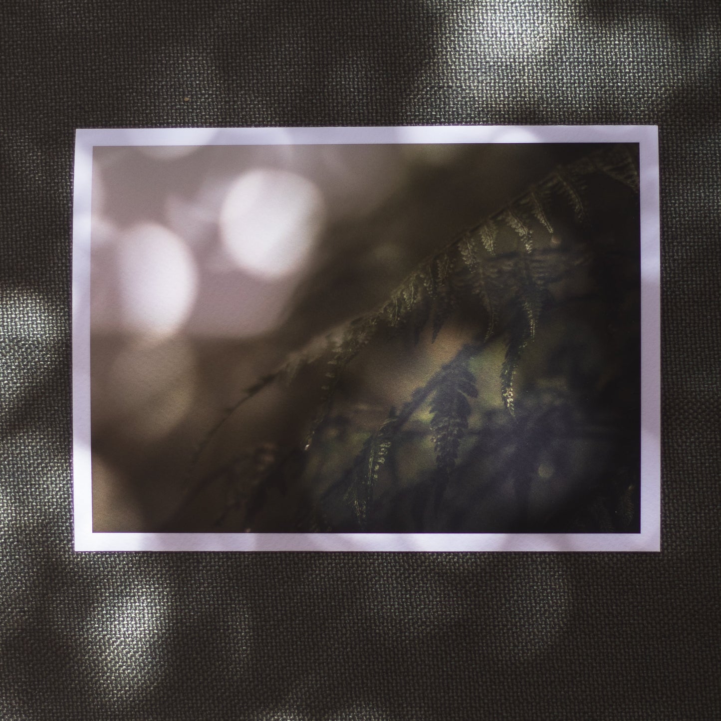 Folklore - 5 x 7" Fine Art Print