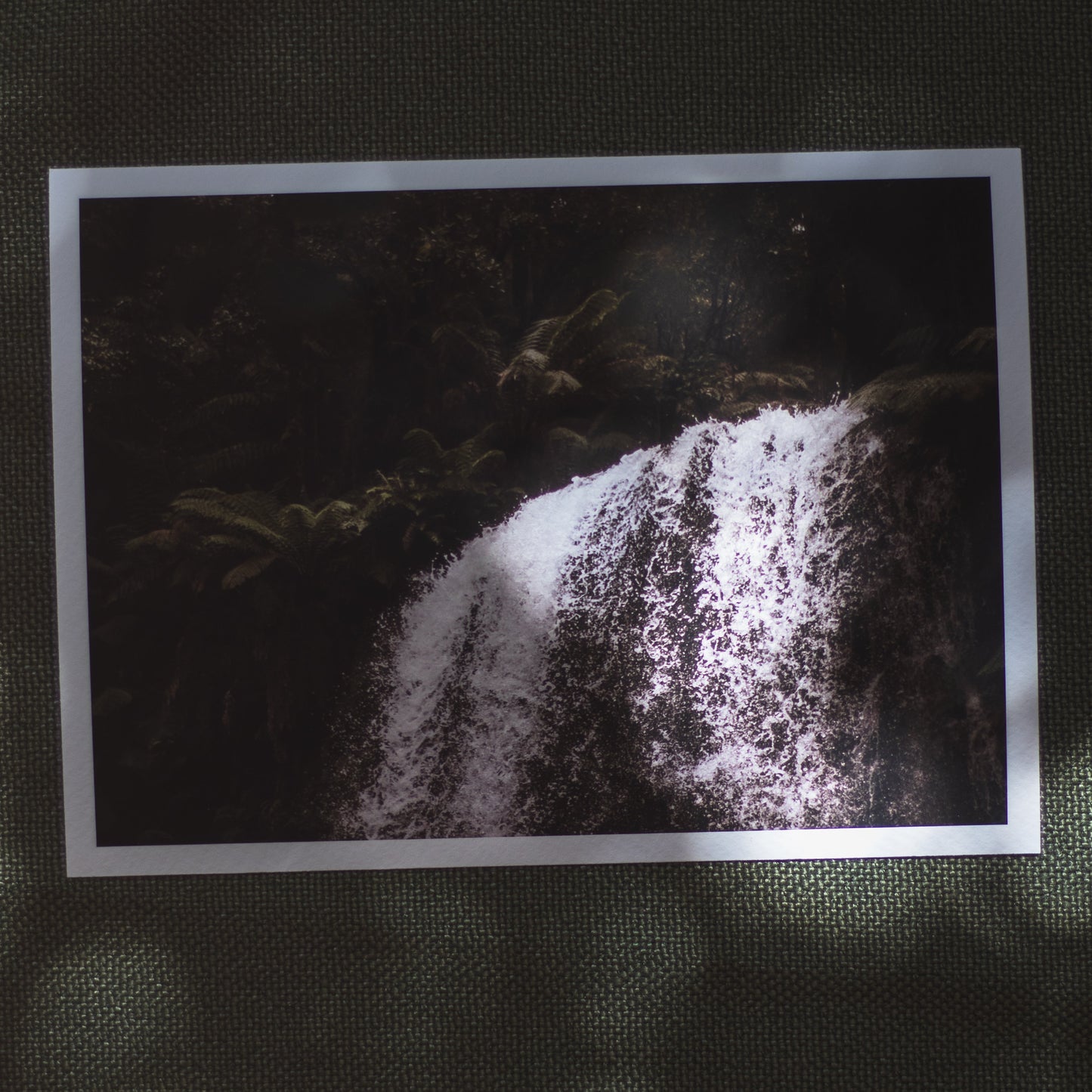 Secret Garden - 5 x 7" Fine Art Print