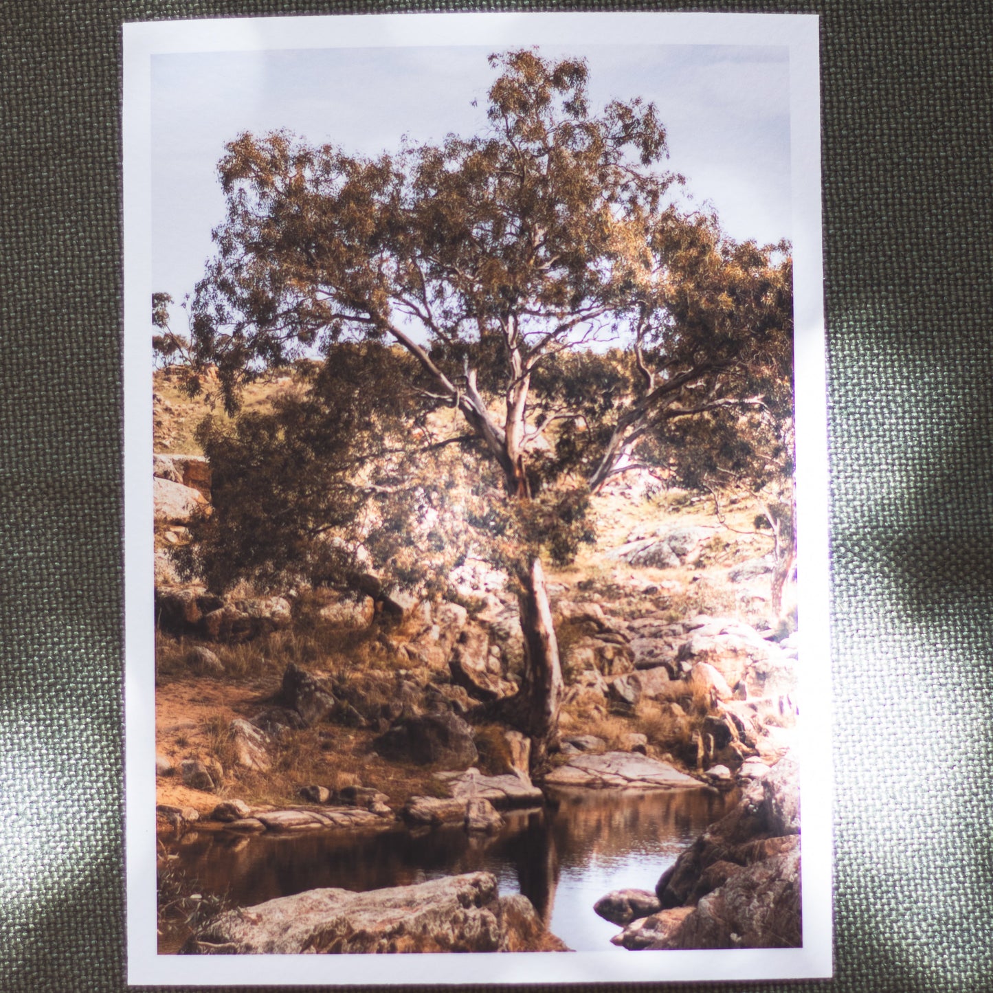 Sacred Wisdom - 5 x 7" Fine Art Print