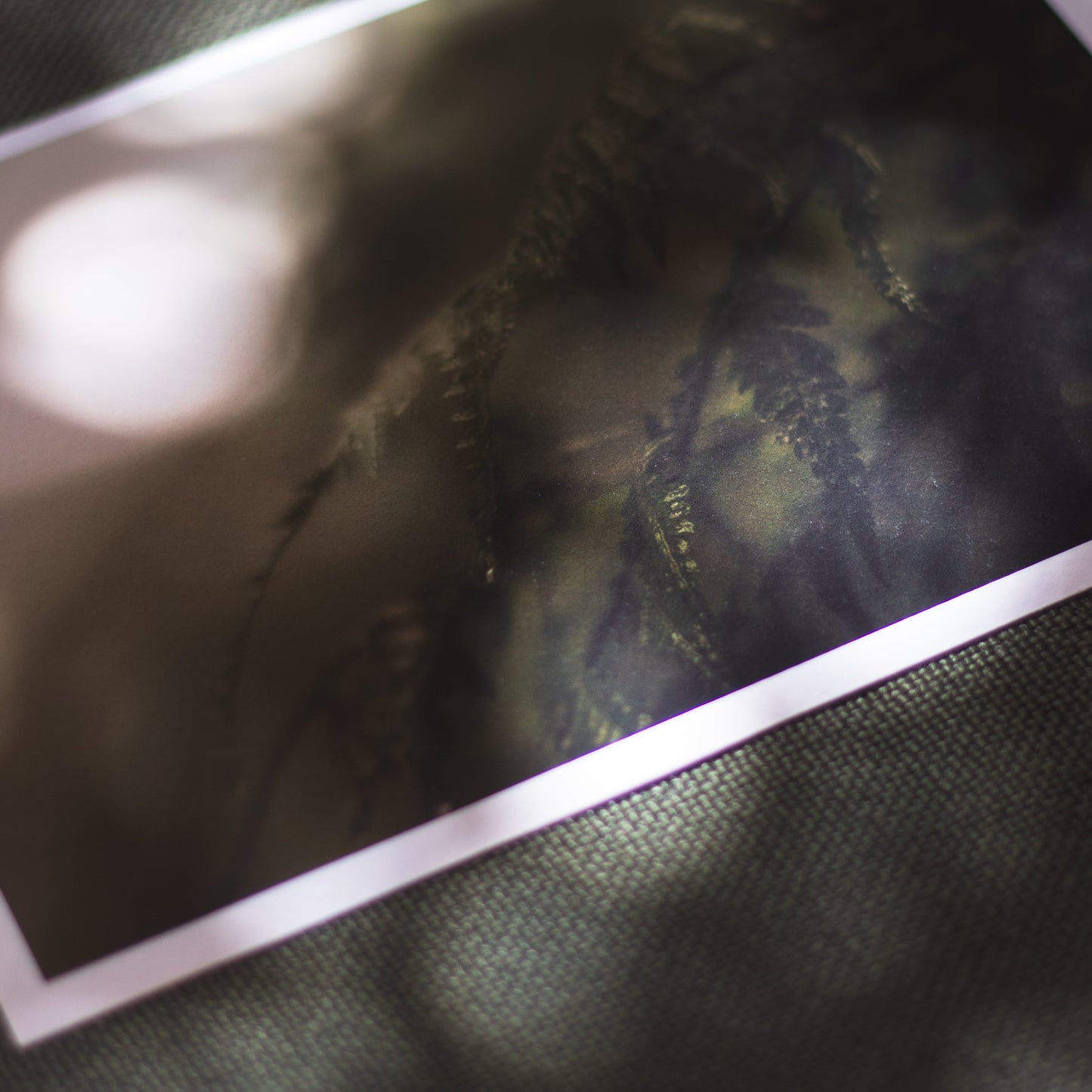 Folklore - 5 x 7" Fine Art Print