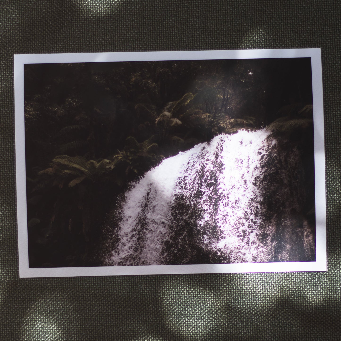 Secret Garden - 5 x 7" Fine Art Print