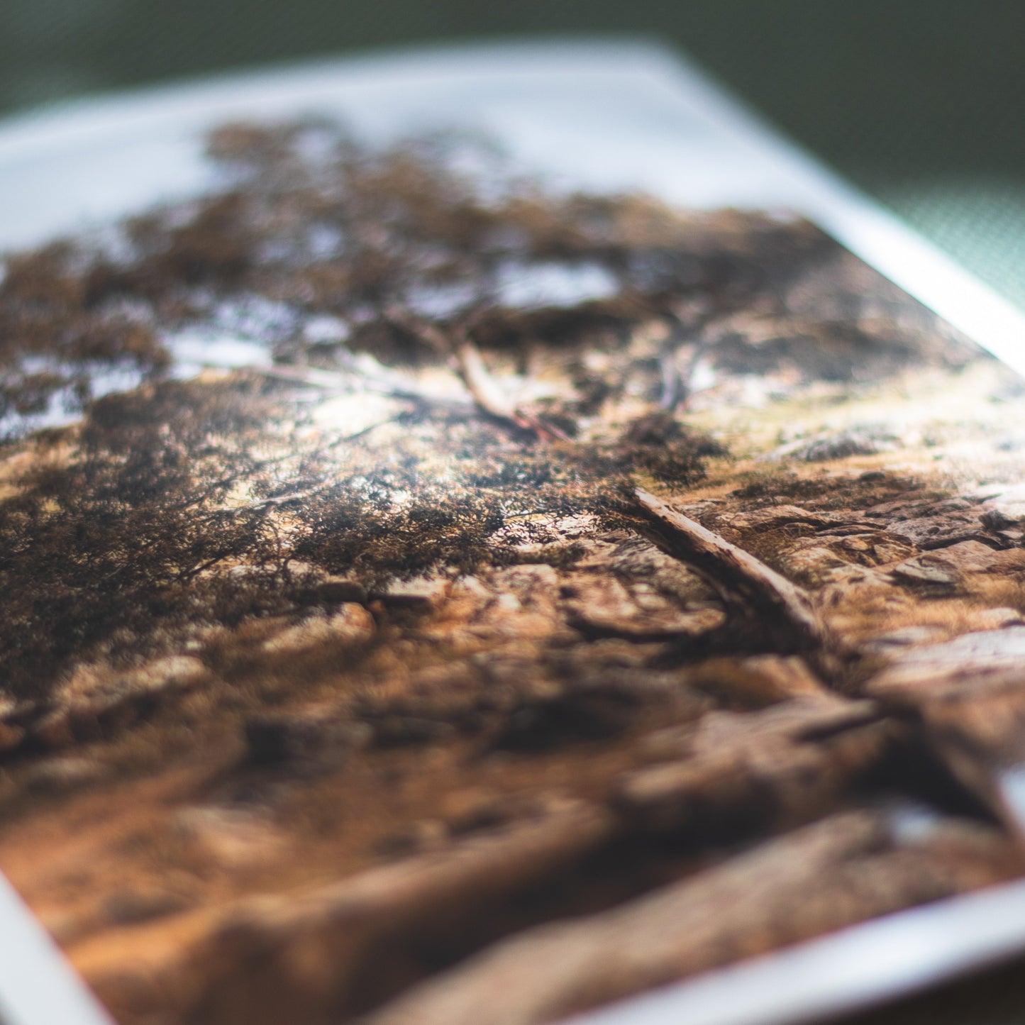 Sacred Wisdom - 5 x 7" Fine Art Print