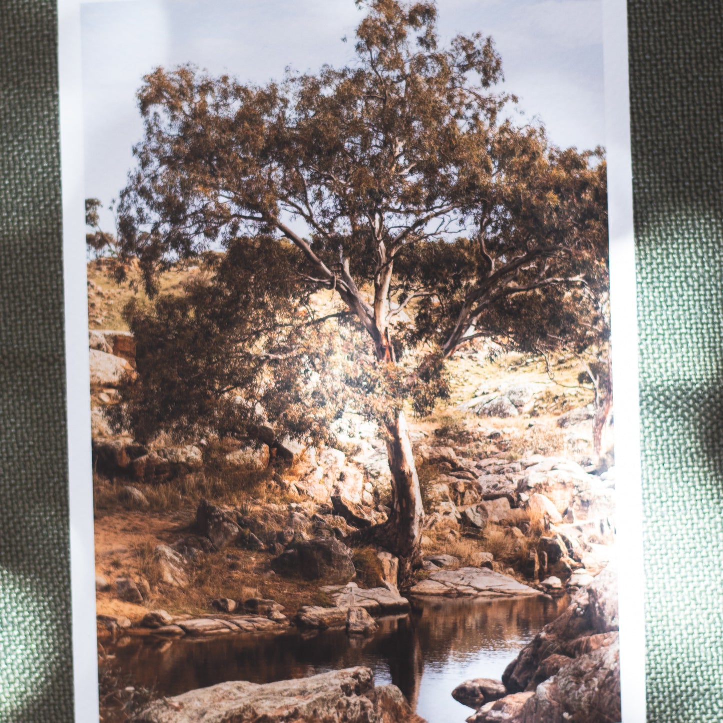 Sacred Wisdom - 5 x 7" Fine Art Print