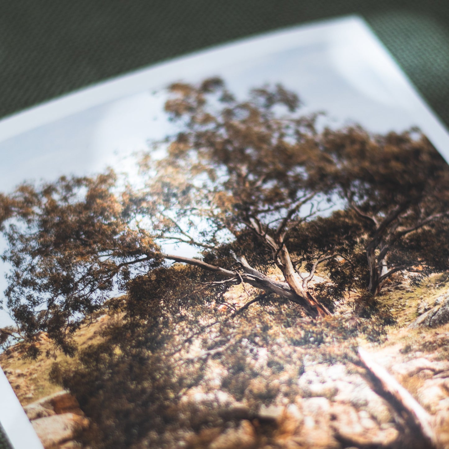 Sacred Wisdom - 5 x 7" Fine Art Print