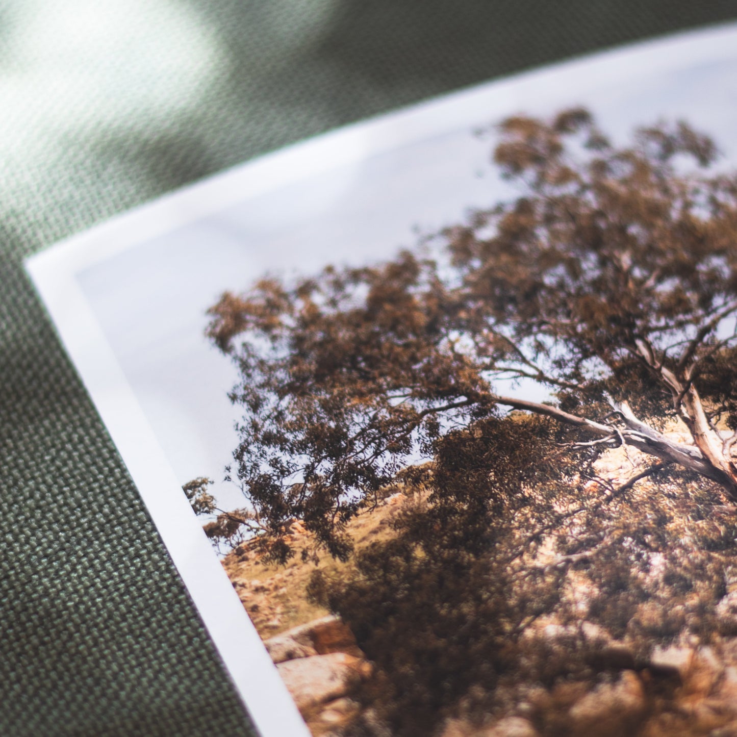 Sacred Wisdom - 5 x 7" Fine Art Print