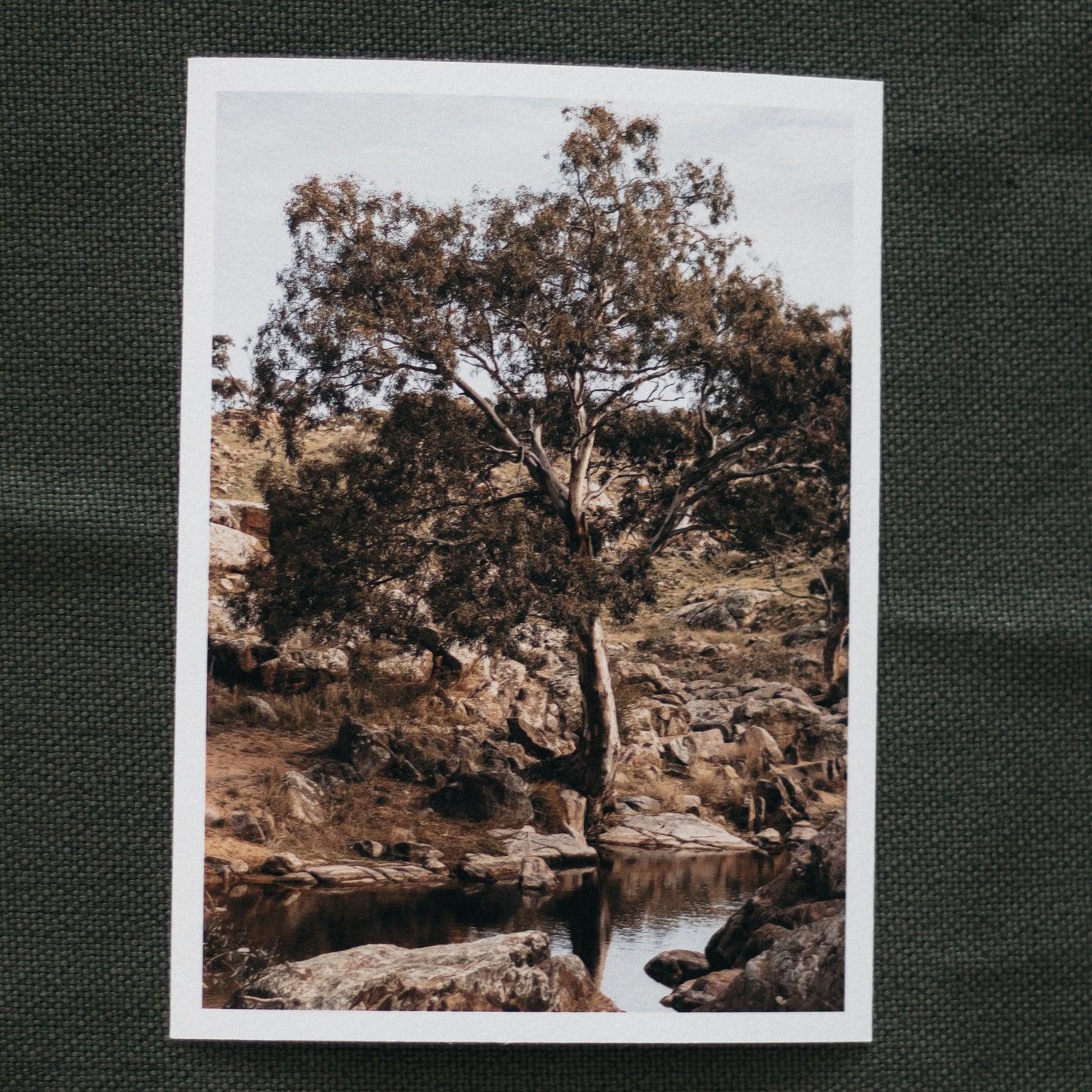 Sacred Wisdom - 5 x 7" Fine Art Print