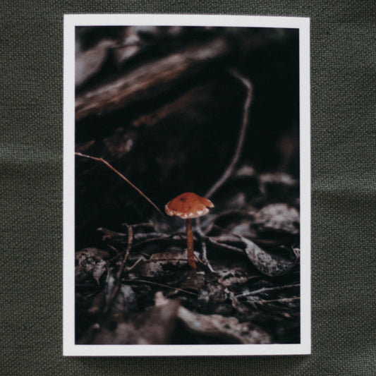 Woodland Home - 5 x 7" Fine Art Print