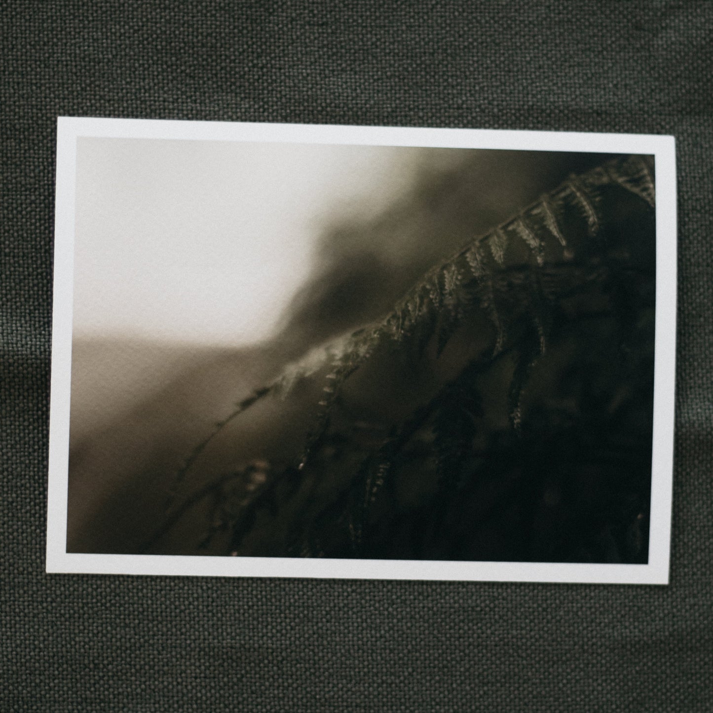 Folklore - 5 x 7" Fine Art Print