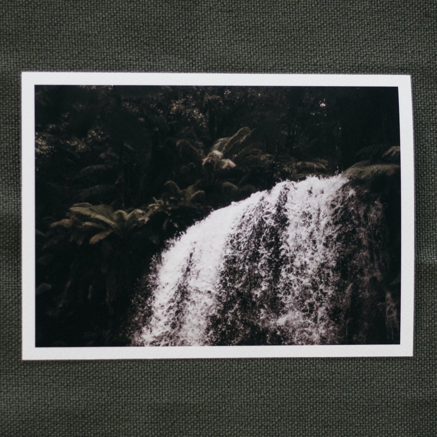 Secret Garden - 5 x 7" Fine Art Print