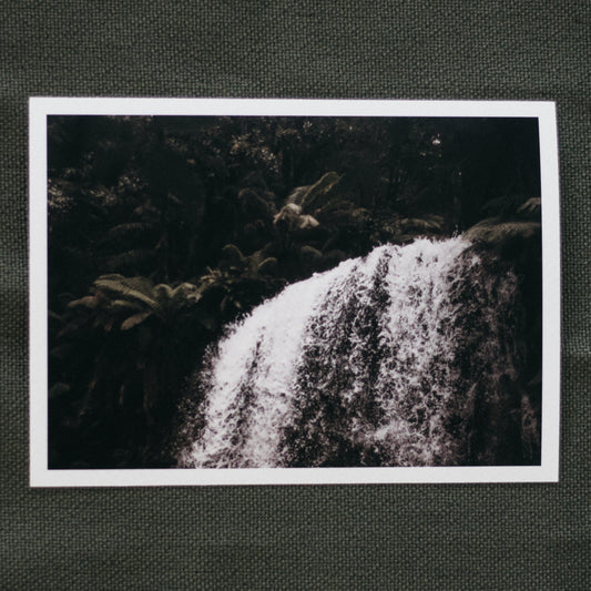 Secret Garden - 5 x 7" Fine Art Print