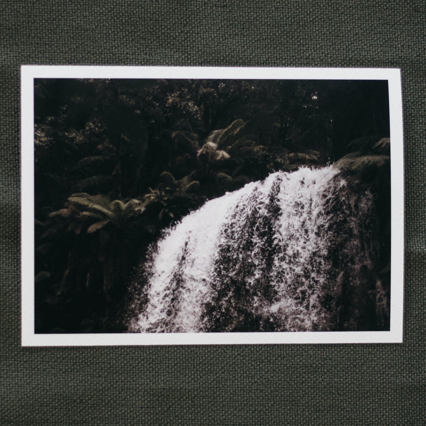 Secret Garden - 5 x 7" Fine Art Print